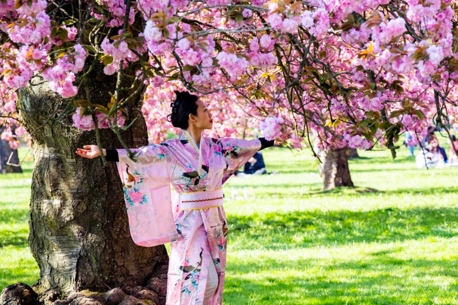 Hanami fete du printemps japonaise Domaine de Sceaux