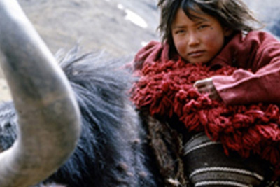 Projection gratuite de films sur l'Himalaya