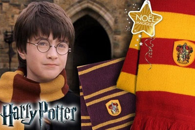 2 écharpes officielles Harry Potter pour 24,90 € au lieu de 70 €