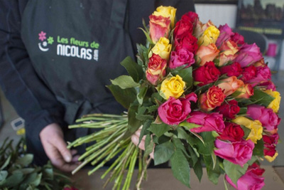 promo les fleurs de nicolas promo les fleurs de nicolas