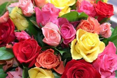 Bouquet de 40 roses à 19,90 € au lieu de 60 € chez A Fleur de Pot