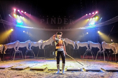 PROMO Cirque Pinder pas cher place à 15 € au lieu de 35 €