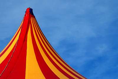 Spectacles et initiations gratuites aux métiers du Cirque avec l'Académie Fratellini