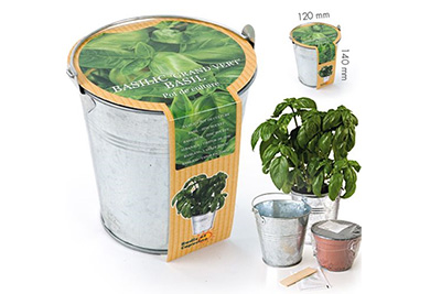bons plans idees cadeaux pot basilic bio bons plans idees cadeaux pot basilic bio
