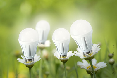 Ampoules LED gratuites