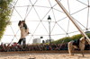 culture au quai spectacles gratuits culture au quai spectacles gratuits