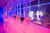 soiree bar insolite ice kube soiree bar insolite ice kube