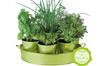 plateau pots aromates plateau pots aromates