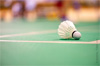 badminton gratuit libre service paris badminton gratuit libre service paris