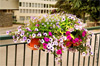 atelier gratuit jardiniere atelier gratuit jardiniere