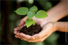 semaine du developpement durable semaine du developpement durable