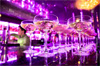soiree concert projection gratuit langage de viceres soiree concert projection gratuit langage de viceres