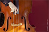 bon plan concert gratuit paris contrebasse bon plan concert gratuit paris contrebasse