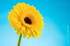 printemps optimisme gratuit sortie paris printemps optimisme gratuit sortie paris