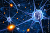 semaine du cerveau paris semaine du cerveau paris