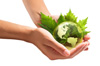 atelier gratuit developpement durable atelier gratuit developpement durable
