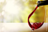degustation vin pas cher degustation vin pas cher