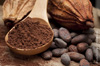 degustation de chocolat a paris degustation de chocolat a paris
