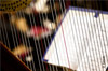 harpe harpe