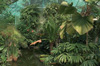 jardin botanique gratuit de la ville de paris jardin botanique gratuit de la ville de paris