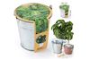 bons plans idees cadeaux pot basilic bio bons plans idees cadeaux pot basilic bio