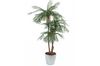 bons plans idees cadeaux palmier artificiel 3 tronc bons plans idees cadeaux palmier artificiel 3 tronc