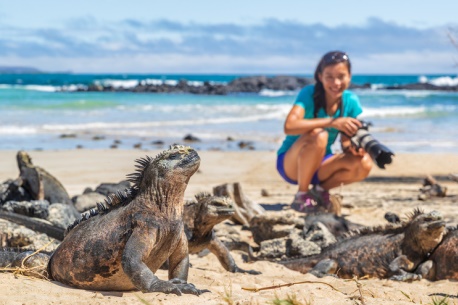 Le guide ultime pour visiter les îles Galapagos 