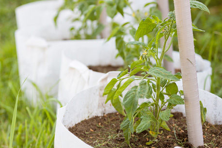 Créer un jardin urbain avec des pots géotextile BACSAC