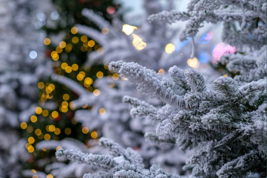 Le parvis de l'Hôtel de Ville se transforme en Forêt enchantée
