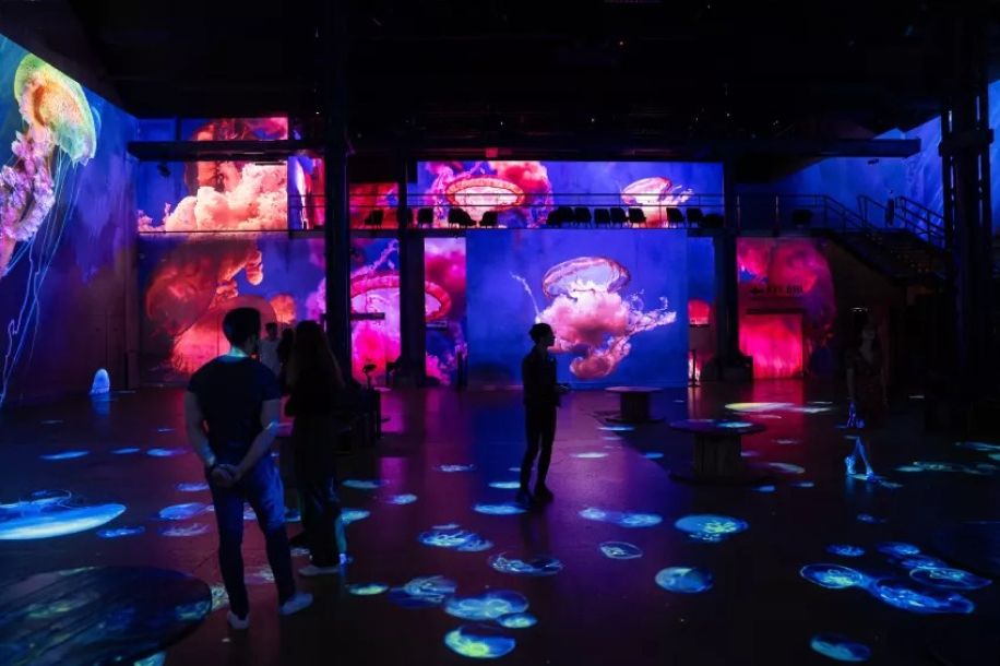 L’Atelier des Lumières : le musée immersif où les tableaux prennent vie