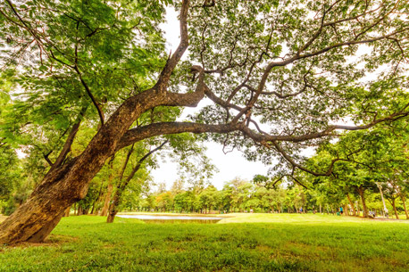 Les plus beaux parcs du Grand Paris