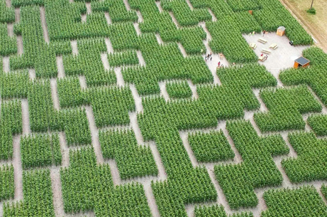 Labyrinthes géants de maïs, en journée ou en nocturne !