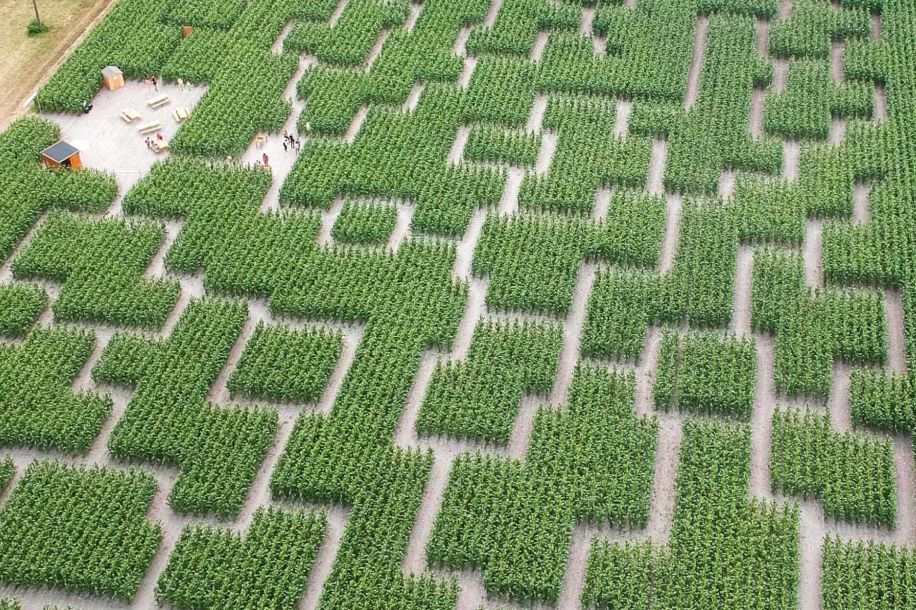 pop corn labyrinthe idf 1