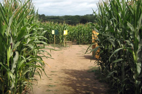 Sortie insolite, labyrinthe géant en pleine nature 