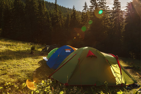 Weekend gratuit, les zones de bivouac autorisées en forêt de Fontainebleau