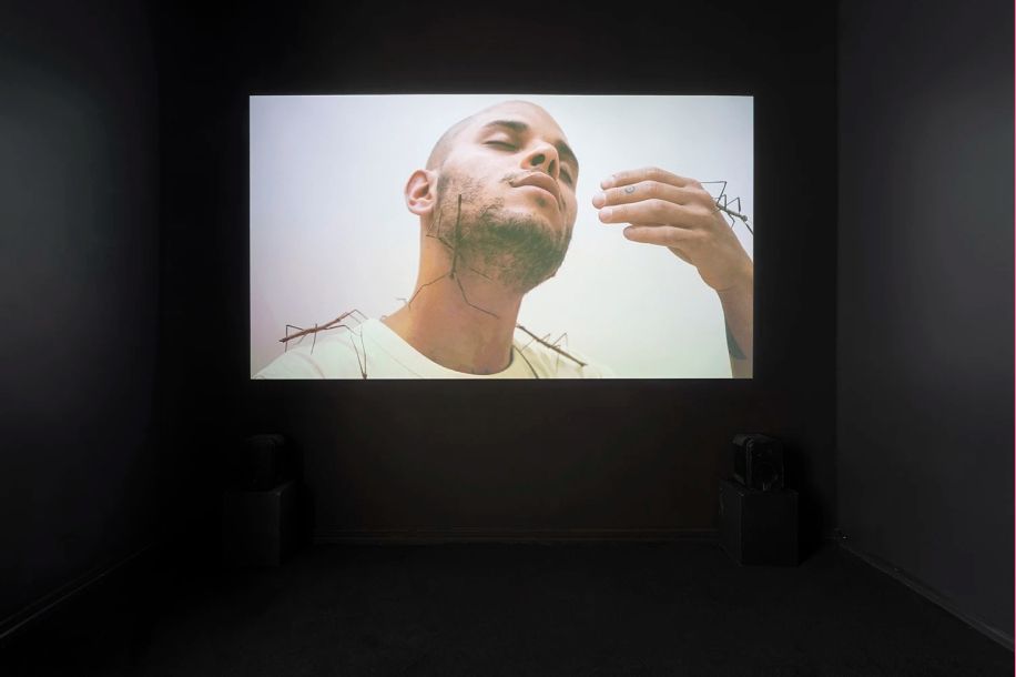 Être collectif : une exposition gratuite qui invite à repenser notre lien au vivant