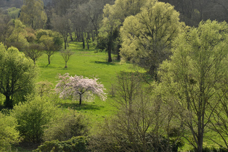 arboretum versaille gratuit 1er dimanche