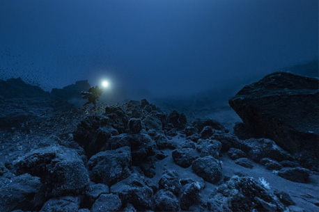 Exposition gratuite de photographies géantes d’Alexis Rosenfeld « 1 Océan »