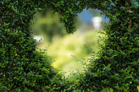 Nature à Paris, activités gratuites (jardinage, ferme pédagogique...)