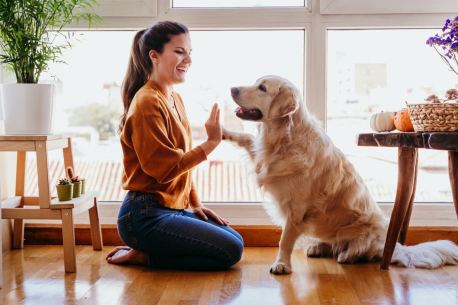Home sitting : gardez une maison, dorlotez des animaux et explorez le monde gratuitement