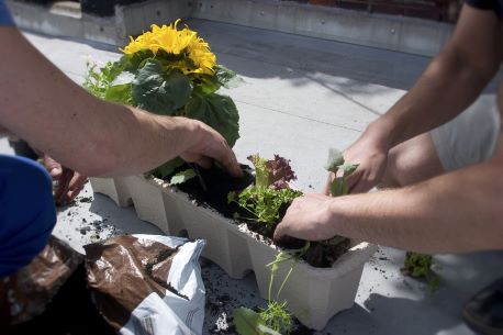 Offrez un abonnement pour une box de jardinage personnalisée