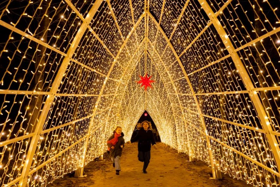 Lumières en Seine 2025 : balade lumineuse et magique au Domaine de Saint Cloud