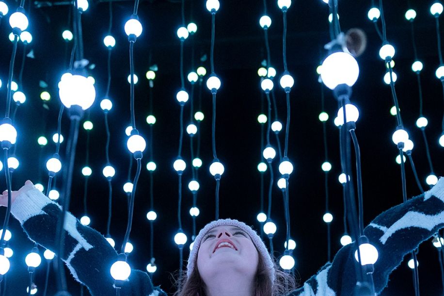 Lumières en Seine 2025 : balade lumineuse et magique au Domaine de Saint Cloud