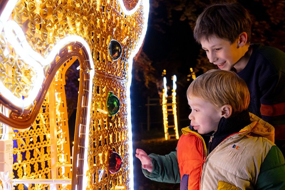 Lumières en Seine 2025 : balade lumineuse et magique au Domaine de Saint Cloud