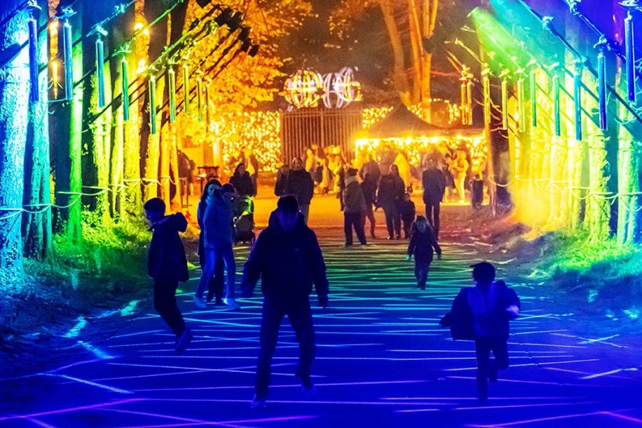 Lumières en Seine 2025 : balade lumineuse et magique au Domaine de Saint Cloud