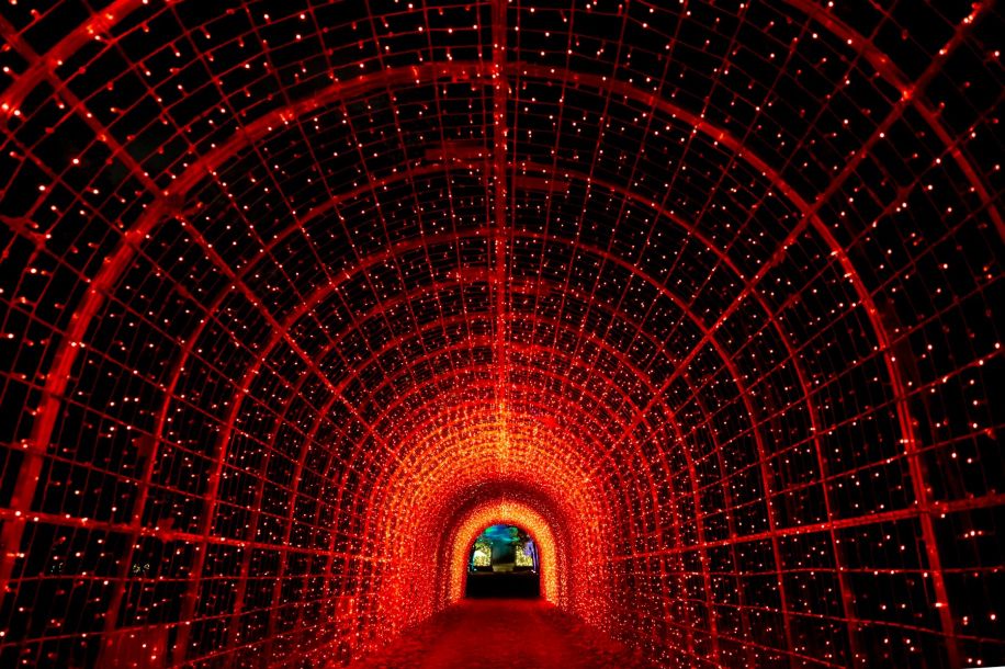 Lumières en Seine 2025 : balade lumineuse et magique au Domaine de Saint Cloud