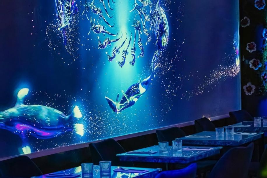 Under the Sea, le restaurant immersif sous les océans