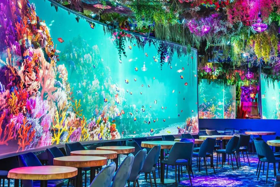 Under the Sea, le restaurant immersif sous les océans