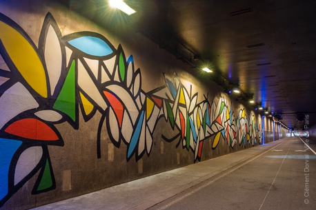 tunnel des tuileries street art