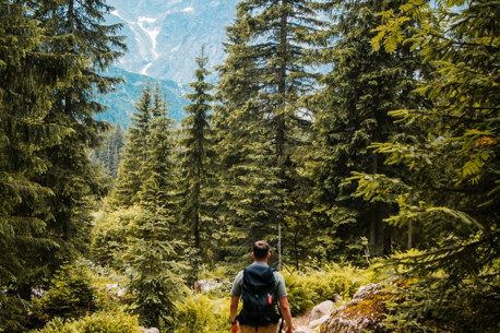 4 parcs naturels à 1h de Paris parfaits pour les randonnées